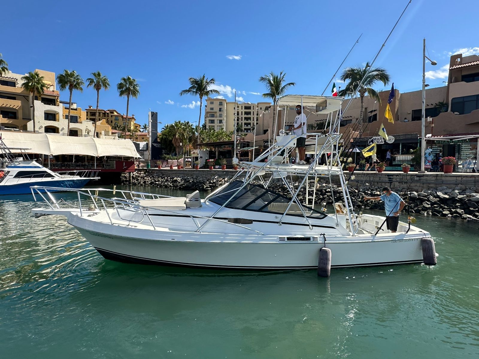 Coral Dream yacht photo 11
