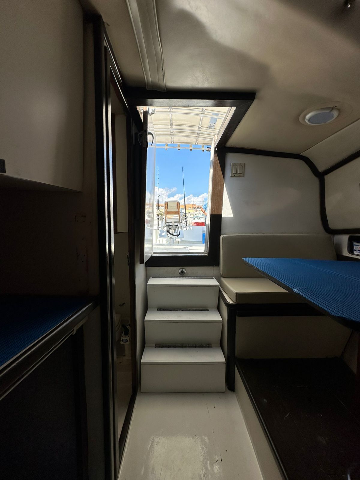 Coral Dream yacht photo 15