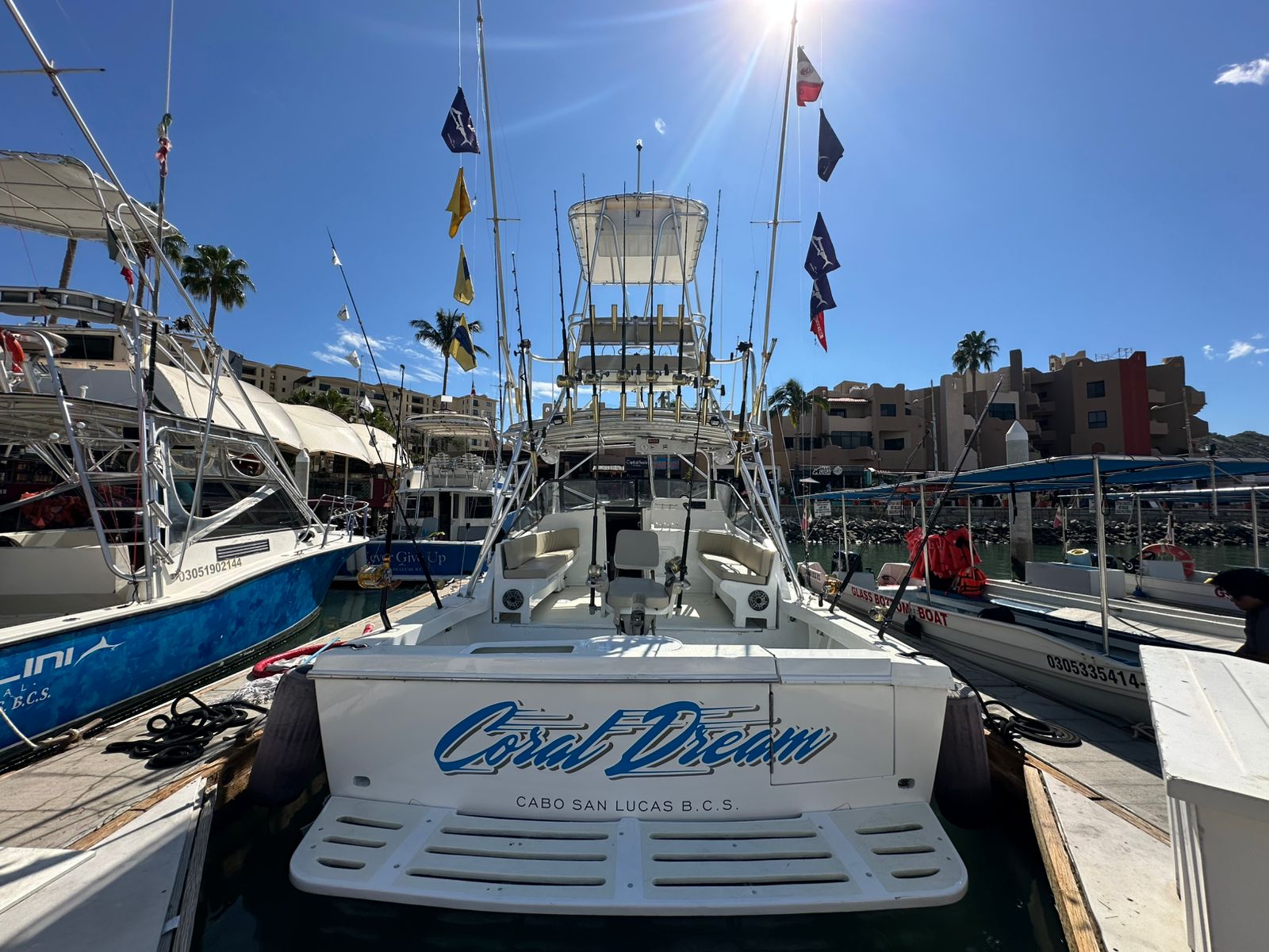 Coral Dream yacht photo 20