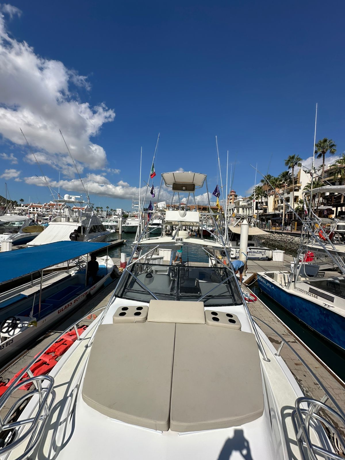 Coral Dream yacht photo 21