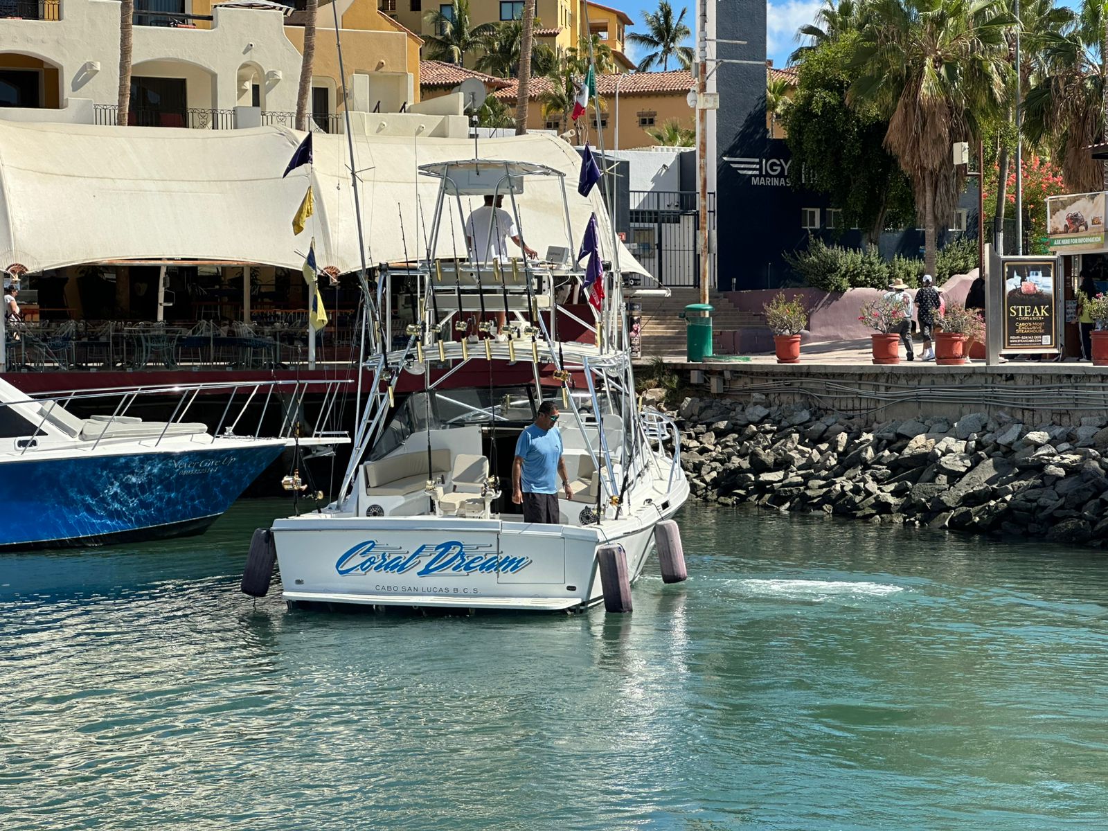 Coral Dream yacht photo 5