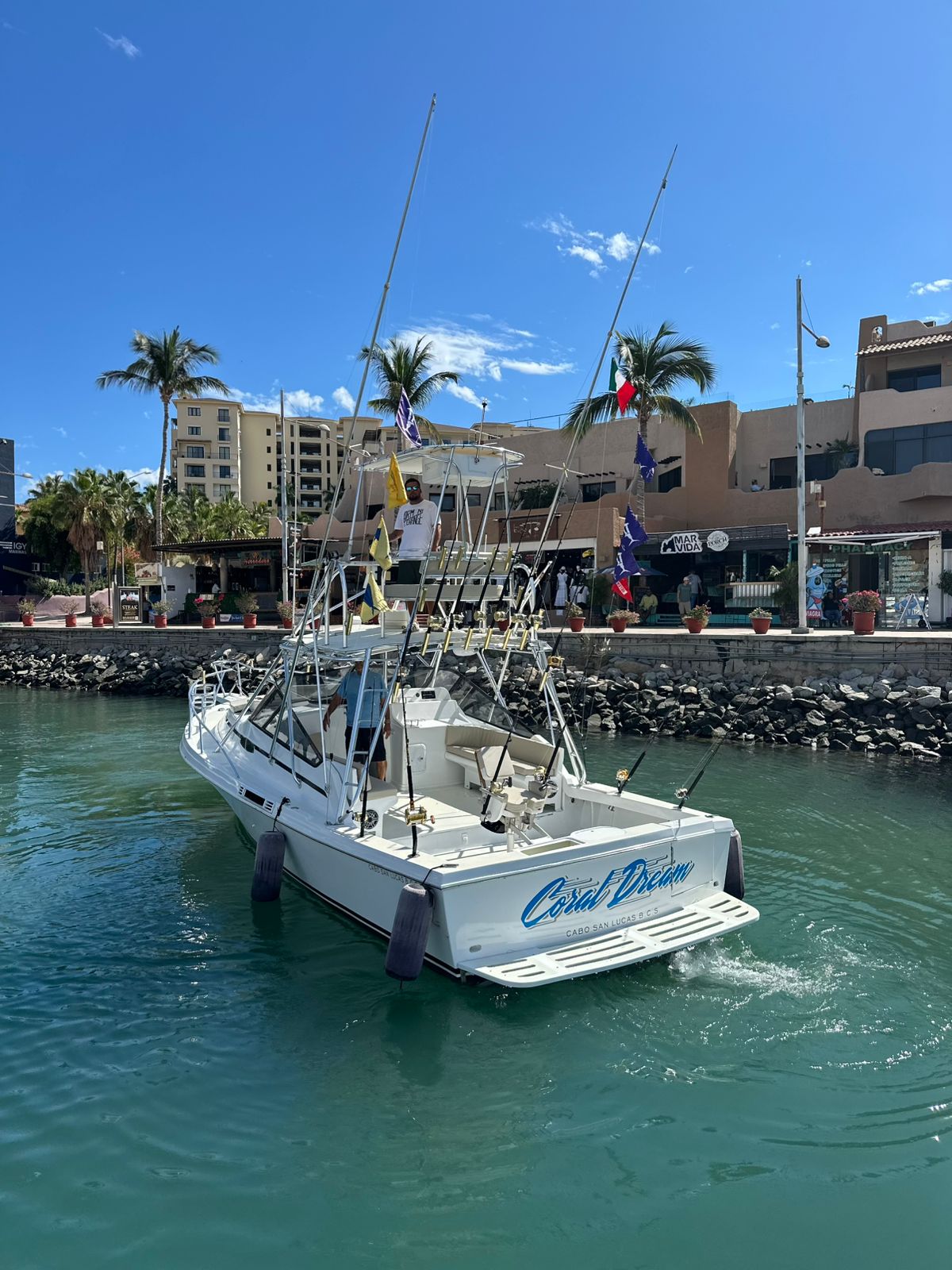 Coral Dream yacht photo 7