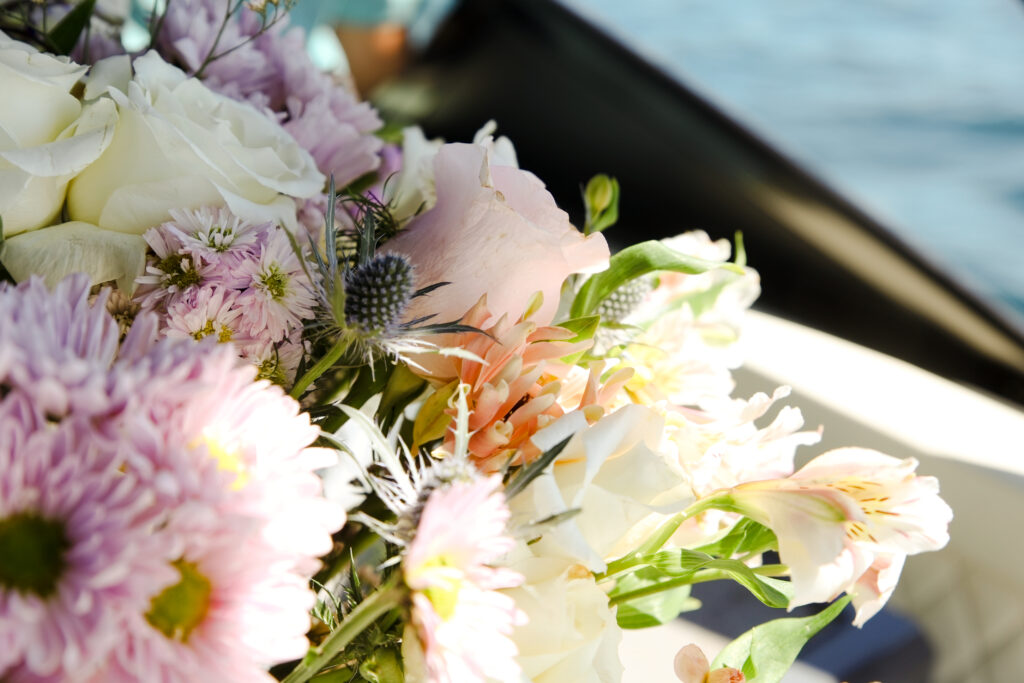 Whiplash yacht photo 5